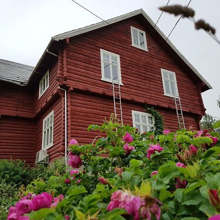 Haugtun Gardspensjonat Og Leiligheter Nordre Land Ngoại thất bức ảnh