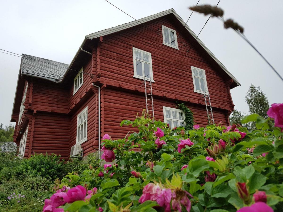 Haugtun Gardspensjonat Og Leiligheter Nordre Land Ngoại thất bức ảnh