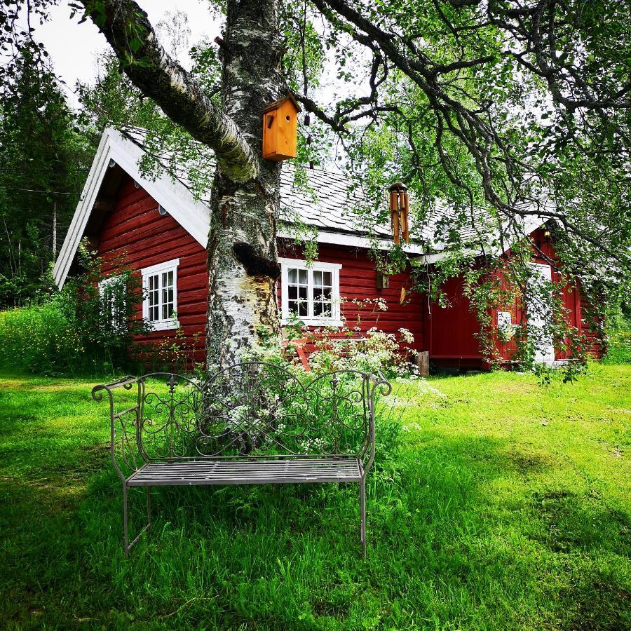 Haugtun Gardspensjonat Og Leiligheter Nordre Land Ngoại thất bức ảnh